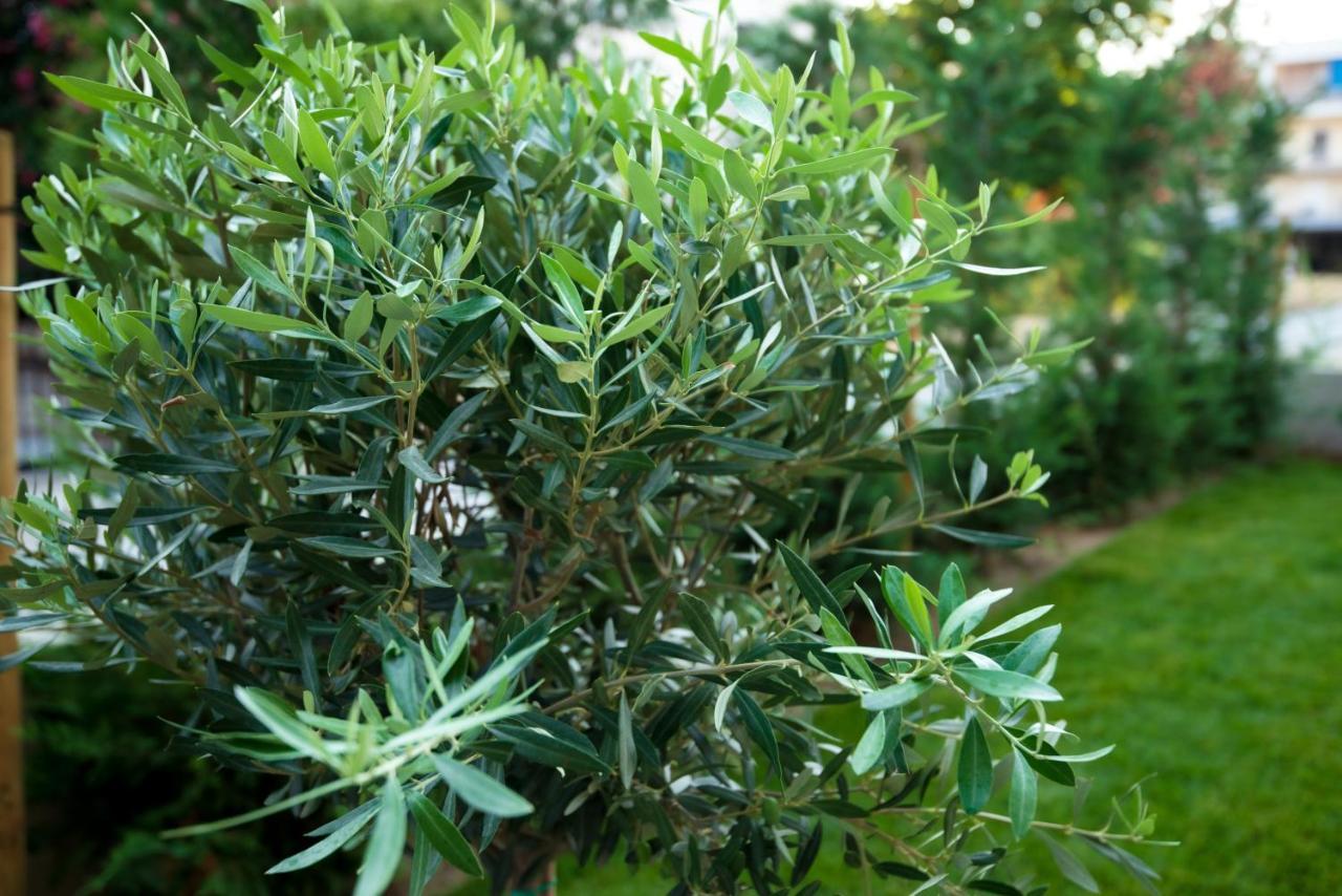 Appartamento Olive 201 Peraía Esterno foto