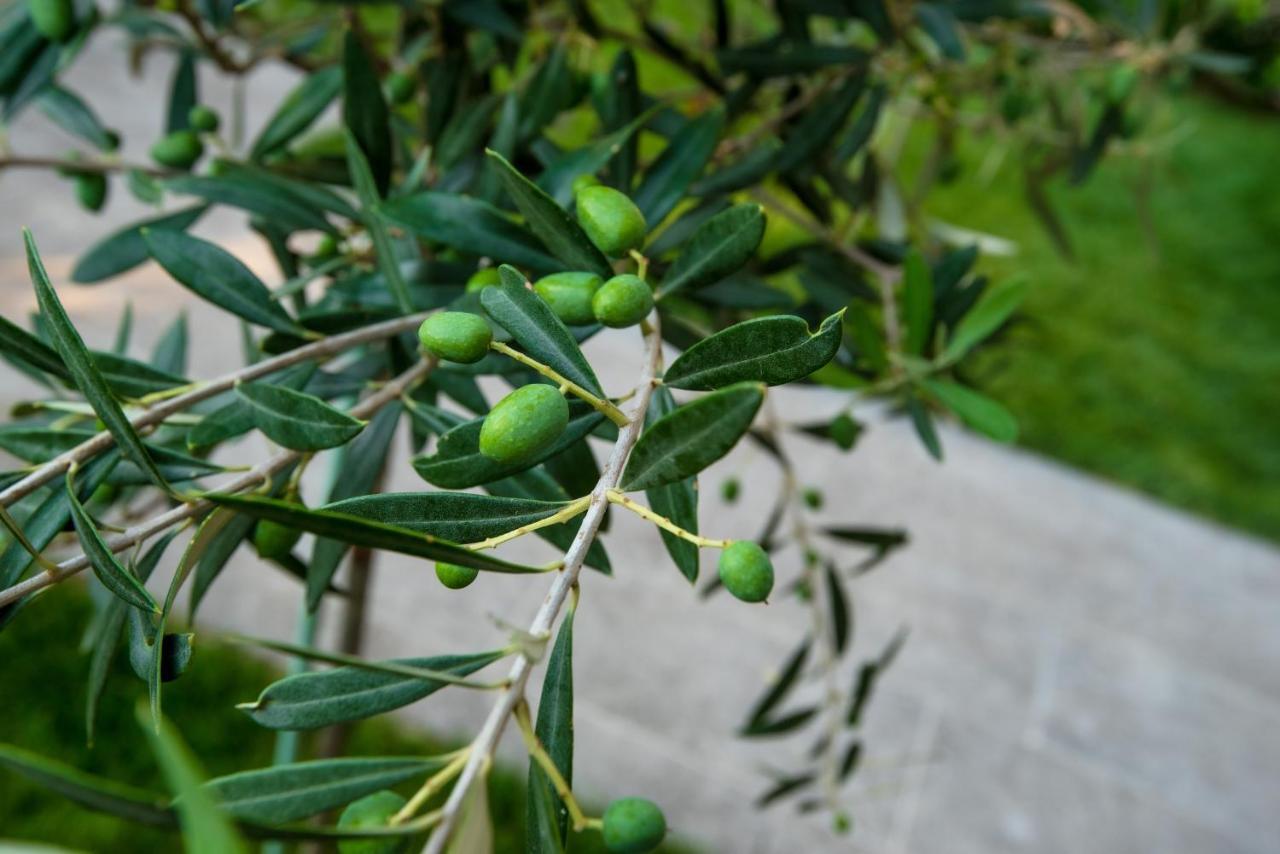 Appartamento Olive 201 Peraía Esterno foto